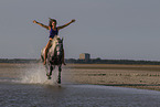 woman and Lipizzaner-Cross in the water