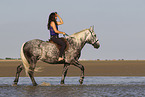 woman and Lipizzaner-Cross in the water