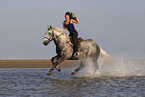 woman and Lipizzaner-Cross in the water