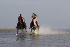 horses in the water