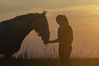 woman and Lipizzaner-Cross