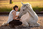 Frisian-Horse-Cross