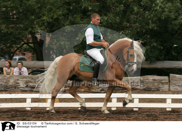 dressage tournament / SS-03154