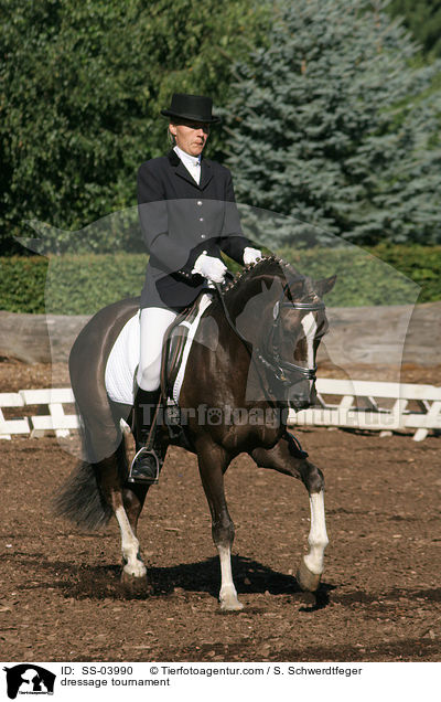 Dressur-Turnier / dressage tournament / SS-03990