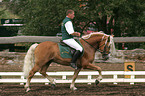 dressage tournament