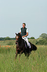 German Riding Pony stallion in dressage training