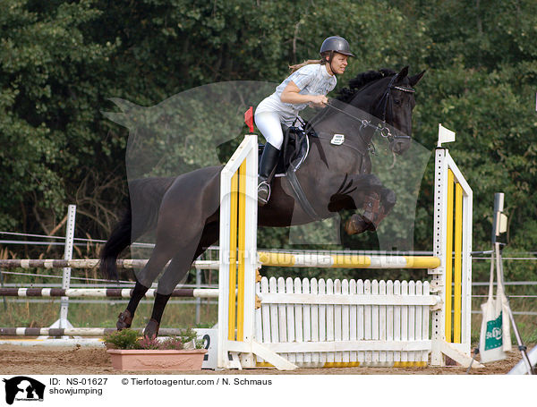 Springreiten / showjumping / NS-01627