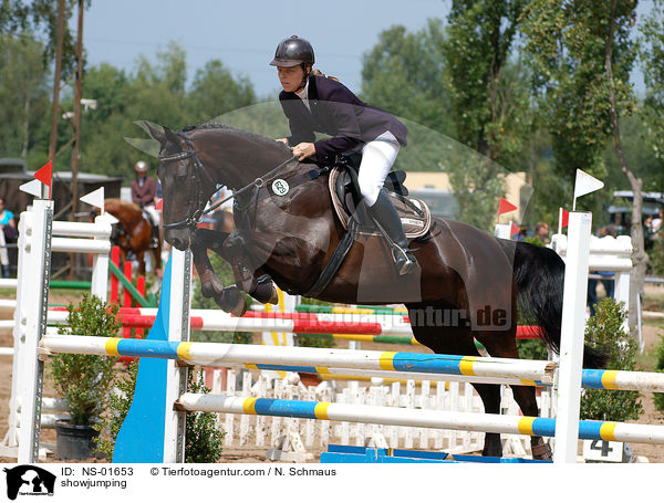 Springreiten / showjumping / NS-01653