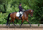 dressage