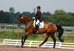 dressage