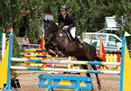 showjumping