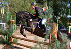 showjumping