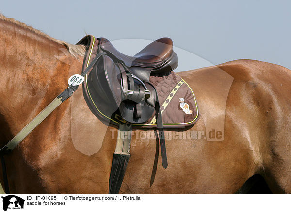saddle for horses / IP-01095