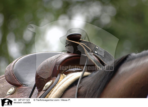 western saddle / AP-01124