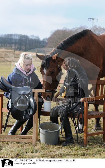 Sattelpflege / cleaning a saddle / AP-04769
