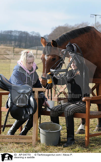 Sattelpflege / cleaning a saddle / AP-04770