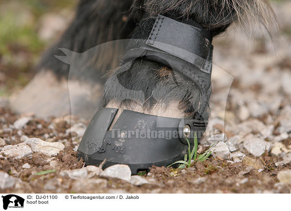 Hufschuh / hoof boot / DJ-01100