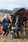 cleaning a saddle