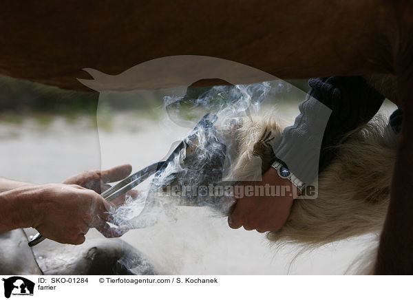 farrier / SKO-01284