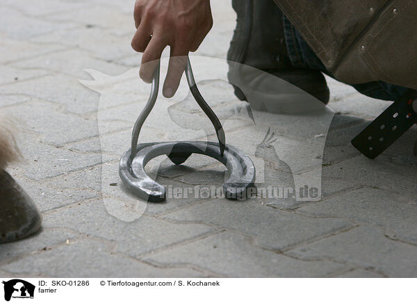 Hufschmied / farrier / SKO-01286