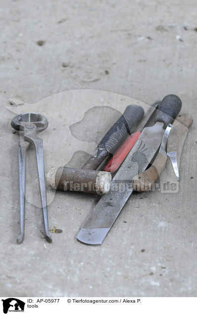 Schmiedewerkzeug / tools / AP-05977