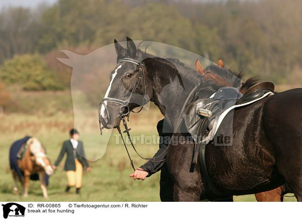 Rast bei der Fuchsjagd / break at fox hunting / RR-00865