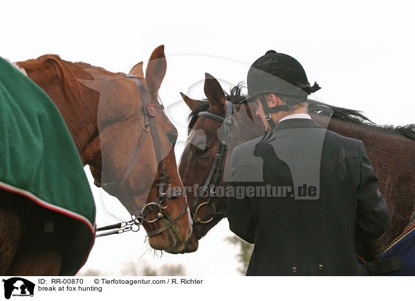 Rast bei der Fuchsjagd / break at fox hunting / RR-00870