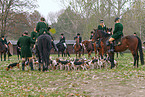 fox hounting with beagle mob