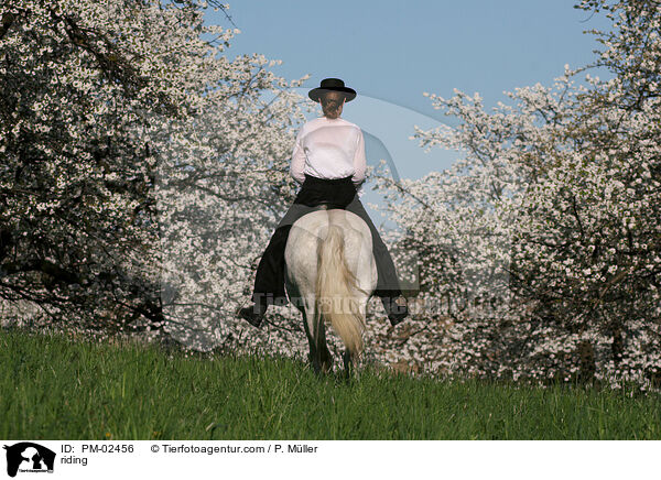 riding / PM-02456