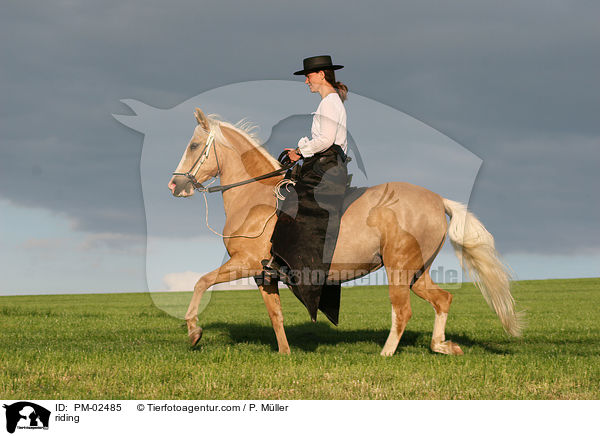 riding / PM-02485