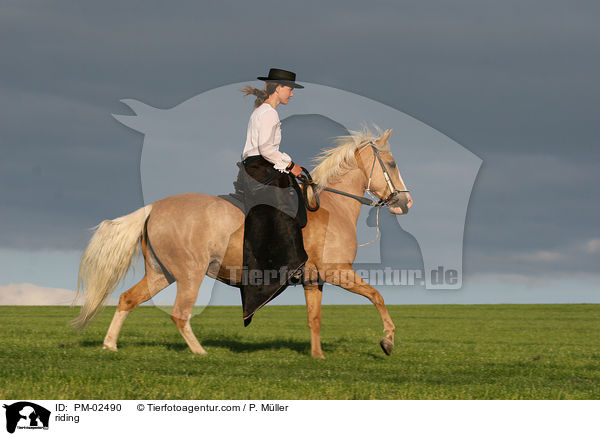 riding / PM-02490