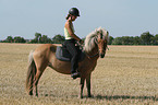 riding a gaited horse