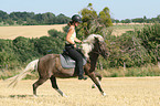 riding a gaited horse