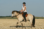 riding a gaited horse