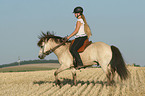 riding a gaited horse