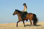 riding a gaited horse