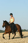 riding a gaited horse