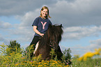 riding a gaited horse