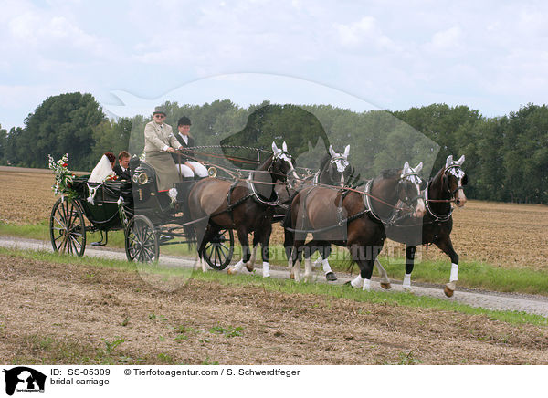 Hochzeitskutsche / bridal carriage / SS-05309