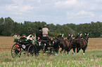 bridal carriage