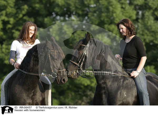 Friesen mit Reiterinnen / friesian with horsewomen / RR-06457