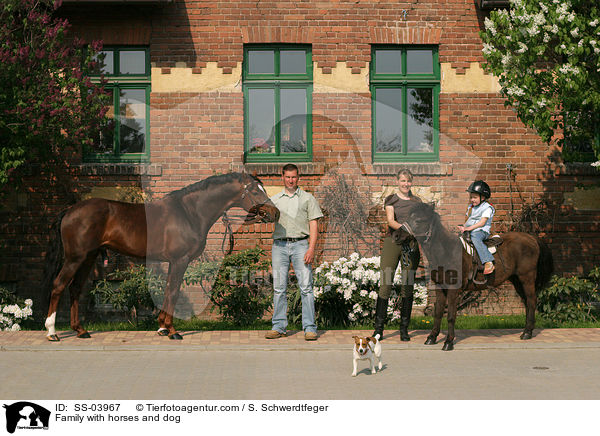 Family with horses and dog / SS-03967