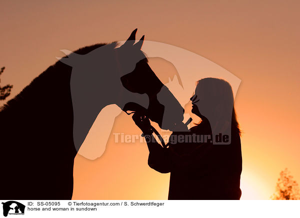 Pferd und Mensch im Sonnenuntergang / horse and woman in sundown / SS-05095