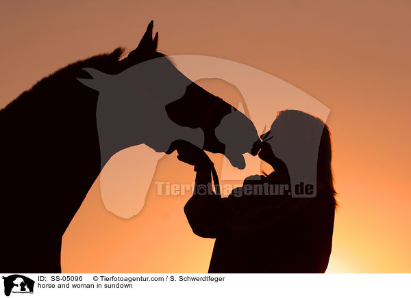 Pferd und Mensch im Sonnenuntergang / horse and woman in sundown / SS-05096