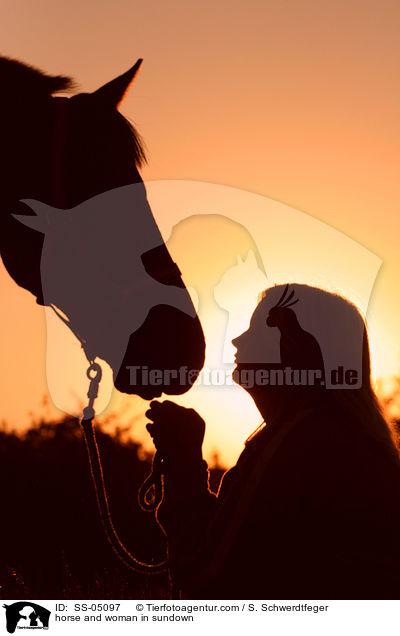 Pferd und Mensch im Sonnenuntergang / horse and woman in sundown / SS-05097