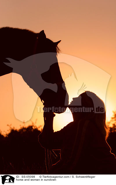 Pferd und Mensch im Sonnenuntergang / horse and woman in sundown / SS-05098