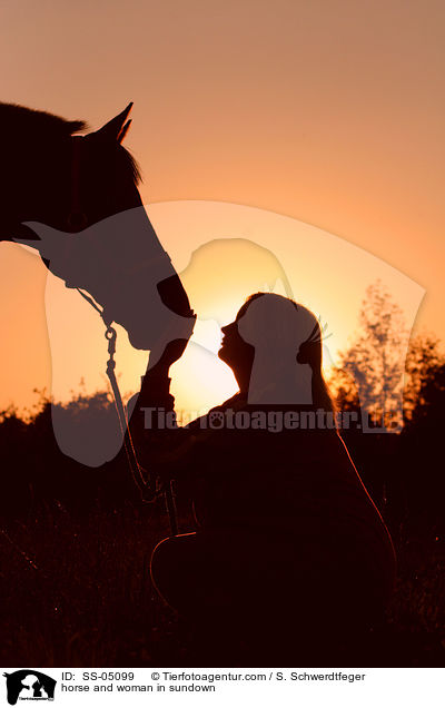 Pferd und Mensch im Sonnenuntergang / horse and woman in sundown / SS-05099
