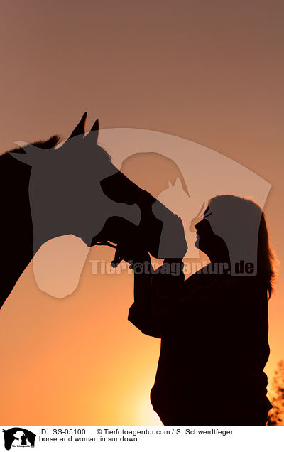 Pferd und Mensch im Sonnenuntergang / horse and woman in sundown / SS-05100