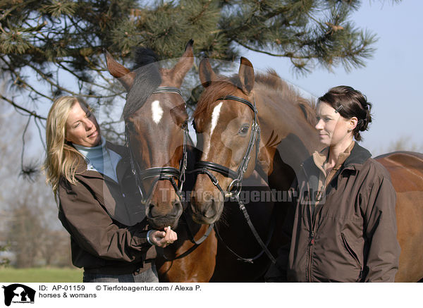 horses & womans / AP-01159