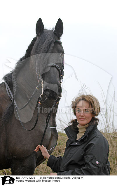 young woman with friesian horse / AP-01205